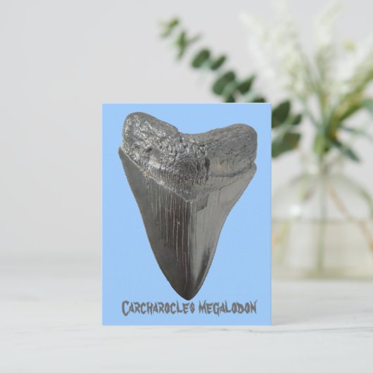 Carcharocles megalodon tand briefkaart (Staand voorkant)