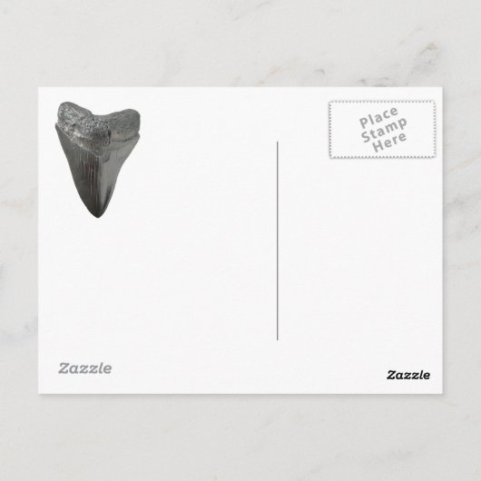 Carcharocles megalodon tand briefkaart (Achterkant)