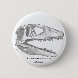 Carcharodontosaurus saharicus schedelknop ronde button 5,7 cm