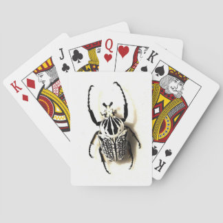 Card deck speelkaarten