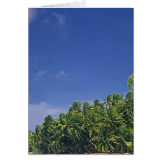 Card, le rivage de Pukapuka.