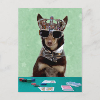 Card Shark King Briefkaart