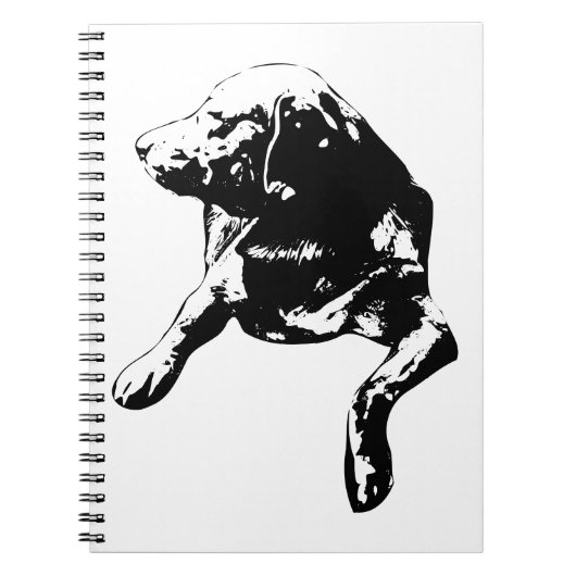 Card-Stack Companion, Lab-notities Notitieboek (Voorkant)