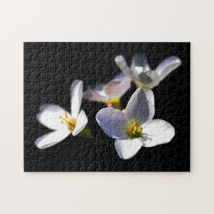 Cardamine Pratensis Bloemen 11x14 252pc jpcna Legpuzzel
