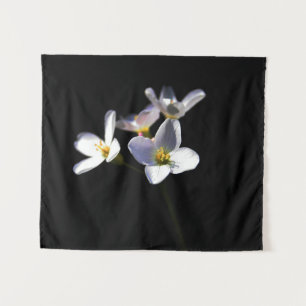 Cardamine Pratensis Bloemen Wat Wandkleed