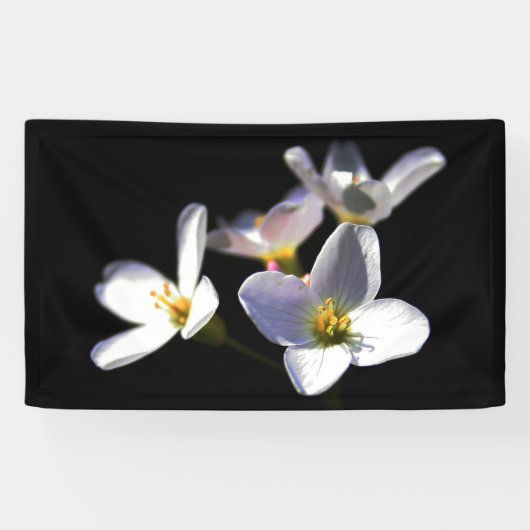 Cardamine Pratensis Flowers bnrcnm Spandoek (Horizontaal)