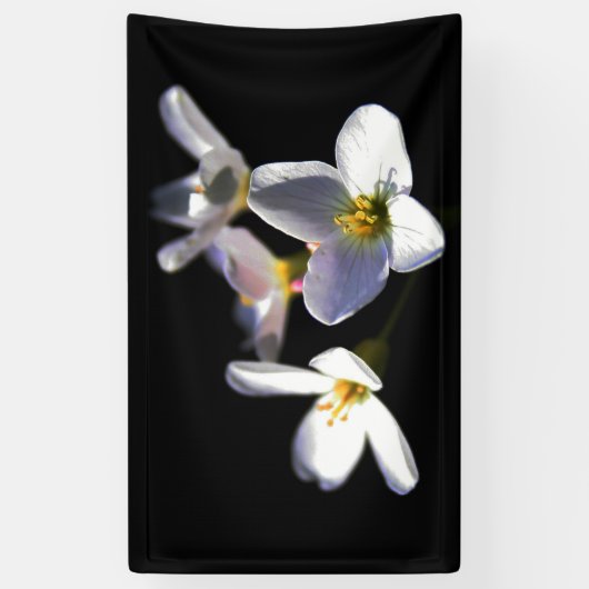 Cardamine Pratensis Flowers bnrcnm Spandoek (Verticaal)