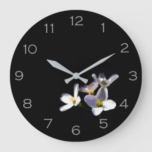 Cardamine Pratensis Flowers Gray Numbers wcn Grote Klok