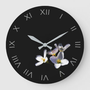Cardamine Pratensis Flowers Gray Roman Num wcn Grote Klok
