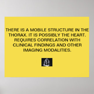 Cardiale Echo Report Poster