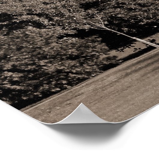 Cardiff Castle II - Sepia Poster (Hoek)