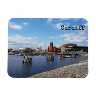 Cardiff Magneet