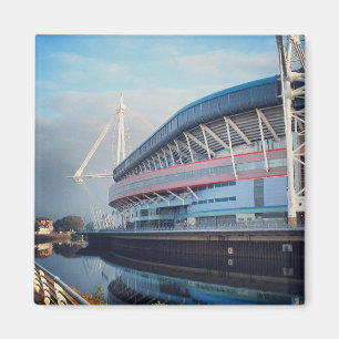 Cardiff Millennium Stadium Magnet Magneet
