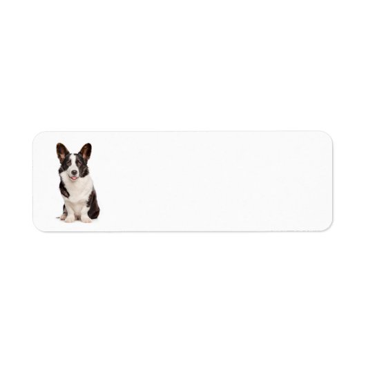 Cardigan Welsh Corgi Adresse de retour Étiquettes (Devant)