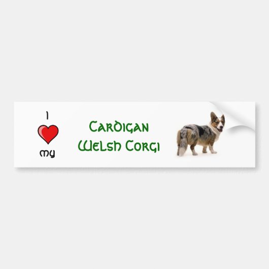 Cardigan Welsh Corgi Bumpersticker (Voorkant)