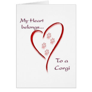 Cardigan Welsh Corgi Coeur Appartient