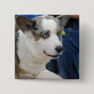 Cardigan Welsh Corgi Dog Button