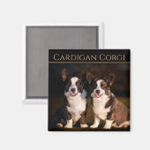 Cardigan Welsh Corgi Magneet (Voorkant / Achterkant)