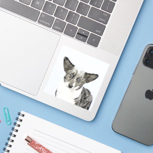 Cardigan Welsh Corgi Painting - Original Dog Art Sticker