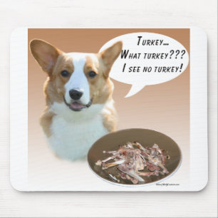 Cardigan Welsh Corgi Turkije Muismat