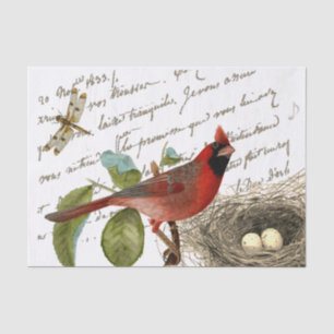 Cardinaal Bird Nest Dragonfly French Script Music Tissuepapier
