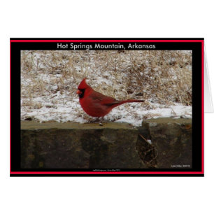 Cardinaal Hot Springs Nat. Park Mountain AR Gifts