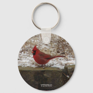 Cardinaal Hot Springs Nat. Park Mountain AR Gifts Sleutelhanger