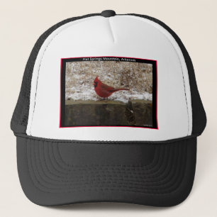 Cardinaal Hot Springs Nat. Park Mountain AR Gifts Trucker Pet