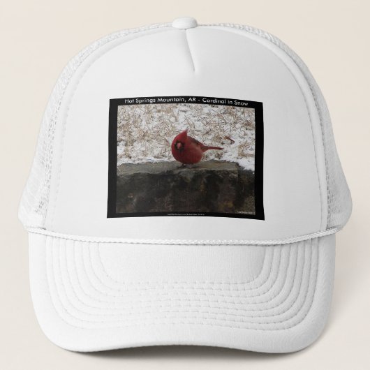Cardinaal Hot Springs Nat. Park Mt AR Gifts Appare Trucker Pet (Voorkant)