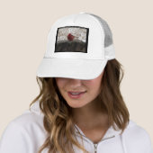 Cardinaal Hot Springs Nat. Park Mt AR Gifts Appare Trucker Pet (In situ)