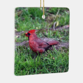 Cardinaal Ornament (Rechts)