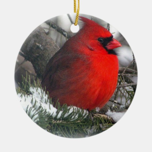 Cardinaal Ornament (Voorkant)