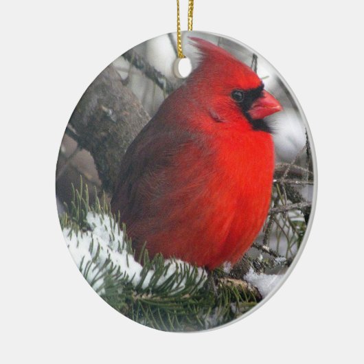 Cardinaal Ornament (Links)