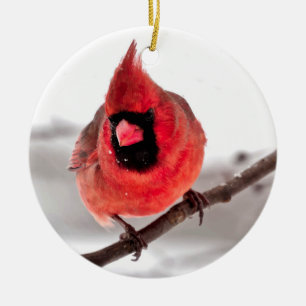 Cardinaal Ornament