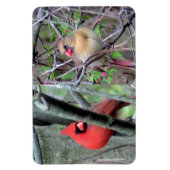 Cardinaal Pair Flexble Magnet Magneet (Verticaal)