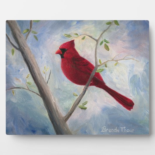 Cardinaal Plaque Fotoplaat (Voorkant)