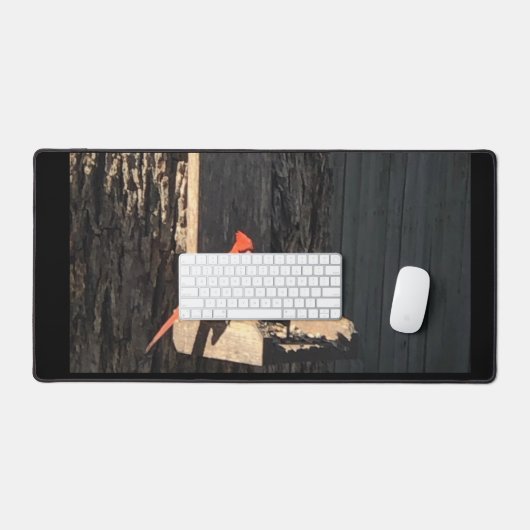 Cardinal (Clavier et souris)