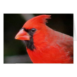 Cardinal