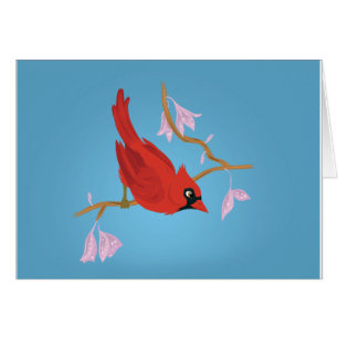 Cardinal