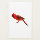 Cardinal (Devant)