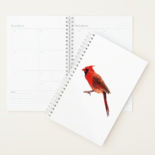 Cardinal