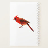 Cardinal (Dos)
