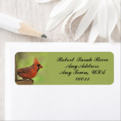 CARDINAL-4 ETIKET (Insitu)