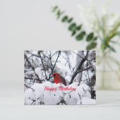 Cardinal 6216 Carte postale Anniversaire (Debout devant)