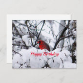 Cardinal 6216 Carte postale Anniversaire (Devant / Derrière)