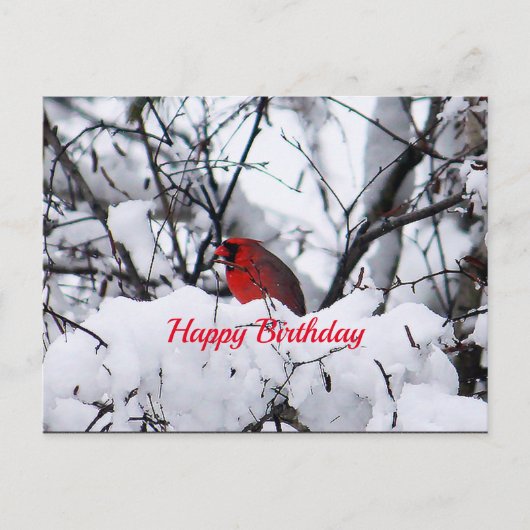 Cardinal 6216 Carte postale Anniversaire (Devant)