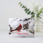 Cardinal 6239 Carte postale Anniversaire (Debout devant)