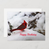 Cardinal 6239 Carte postale Anniversaire (Devant / Derrière)
