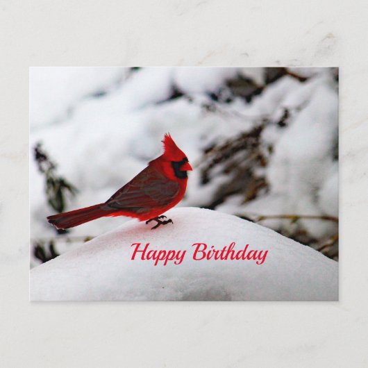 Cardinal 6239 Carte postale Anniversaire (Devant)