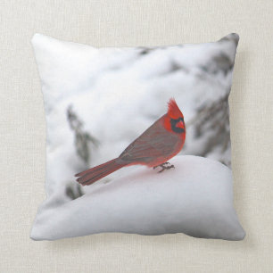 Cardinal 6241 Coussin